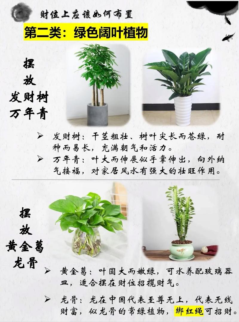 客厅财位最简单的找法
