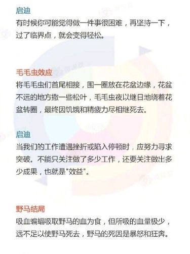 职场心理学的18个定律