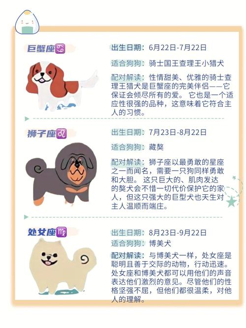 什么星座最适合从政