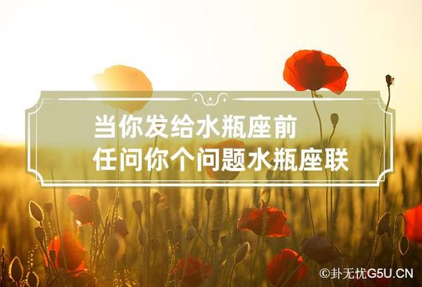当你发给水瓶座前任“问你个问题”