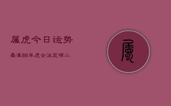 属虎的人明年运势如何