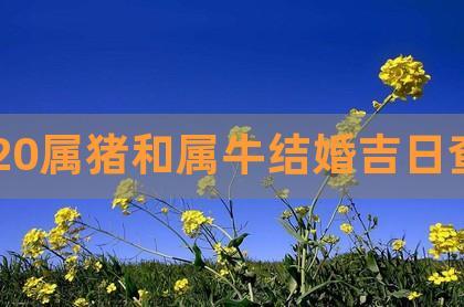 生肖牛和生肖猪2020年结婚好不好?属牛适合几月结婚?