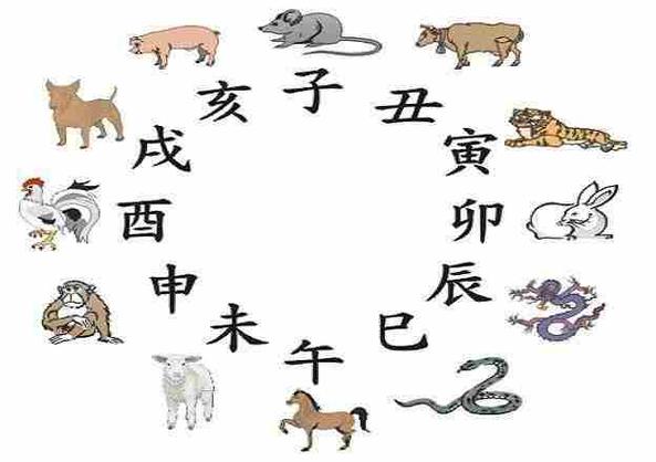 你知道属鼠人的婚姻与命运吗
