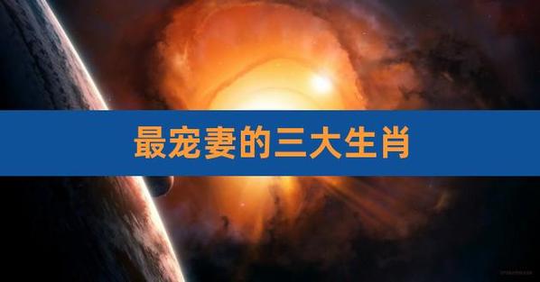 最宠妻子的三大生肖男