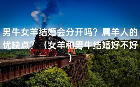 生肖男牛和生肖女羊的爱情
