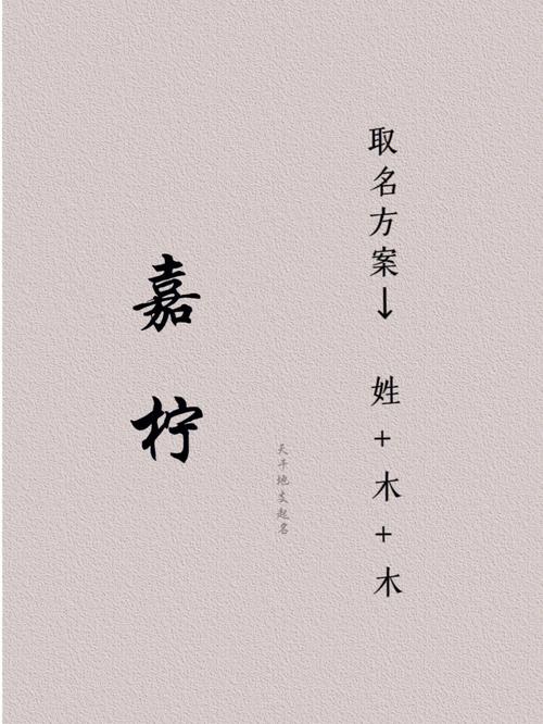 鸡年段姓女孩大气响亮的名字