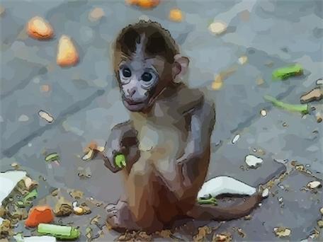 看见心仪的妹子?属猴男心里在想什么