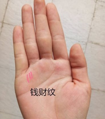 超级富豪的手相