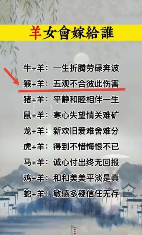 羊女的婚配属相