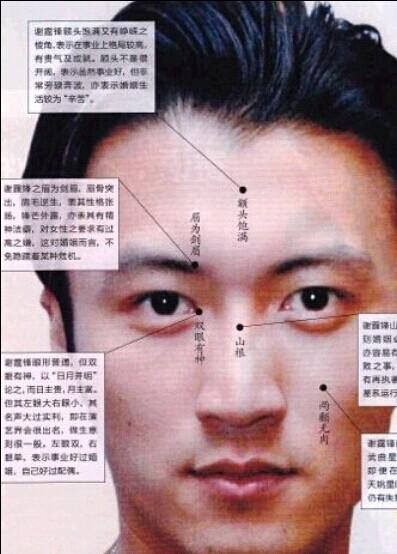 哪些面相的人有实力没毅力?
