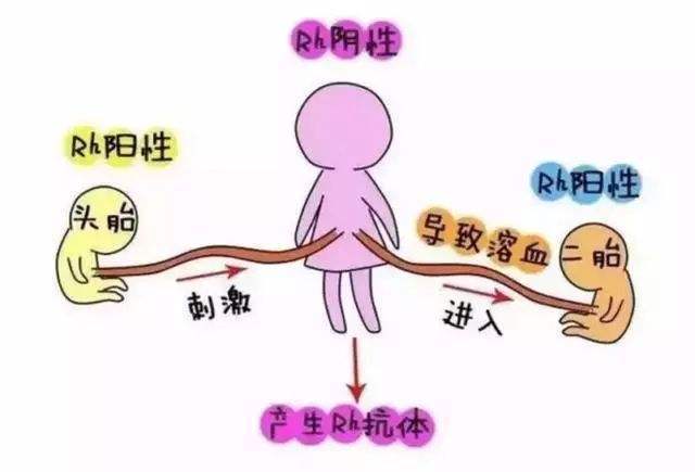 揭秘!盘点感性容易掉泪的血型