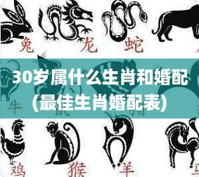 生肖猴婚前婚后的区别