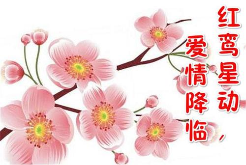 下个月能够收获桃花迎接幸福的4星座