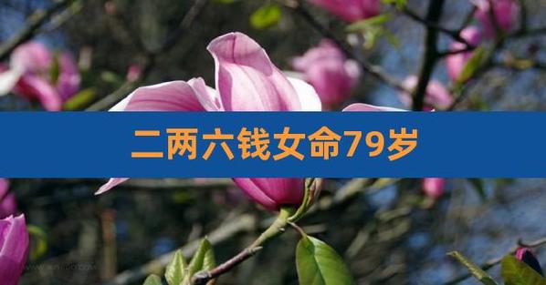 二两六女命会离婚吗