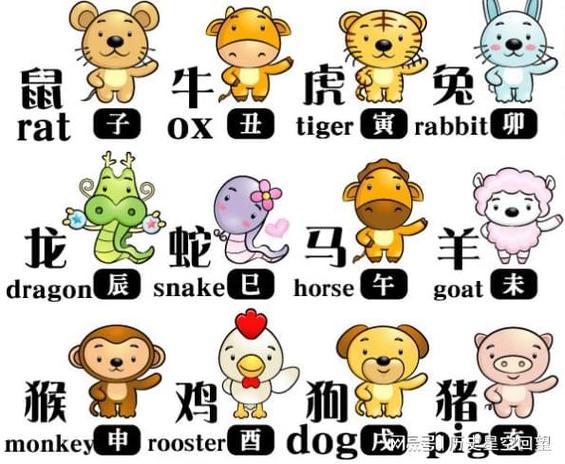 容易受骗的生肖排行榜