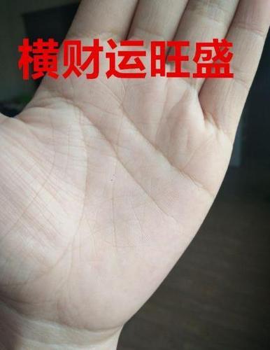 能挣钱的手相 一生中财运亨通财库丰盈