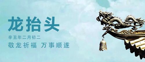 2021辛丑年二月初二龙抬头出生的宝宝命运好不好?
