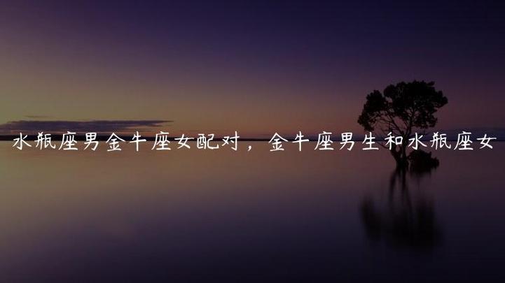 水瓶座与金牛座配对