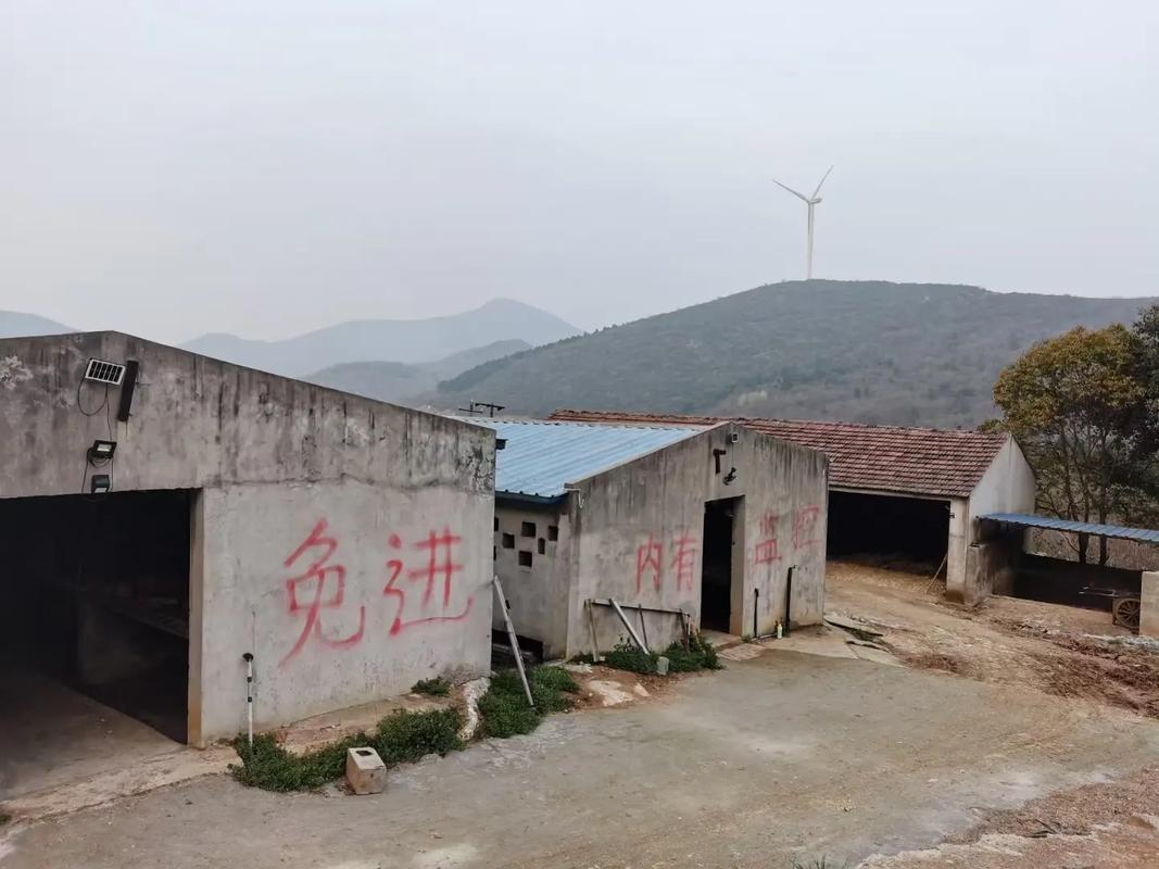 个人家庭养殖名称大全