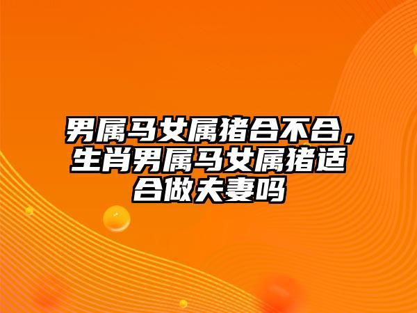 女属猪男属马婚配合适吗,相处能够融洽吗?