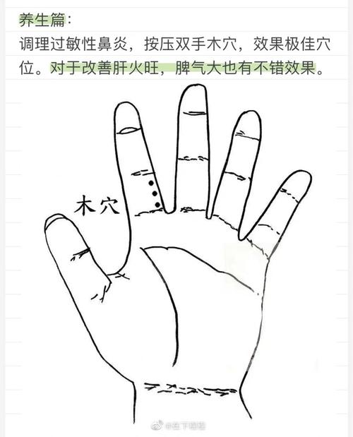 木过旺怎么调理