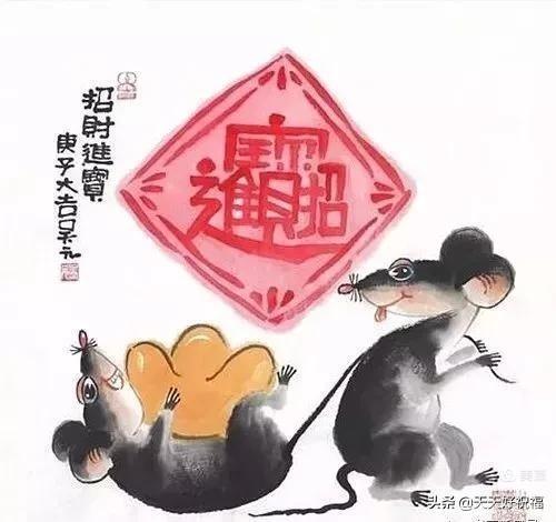 鼠年生的人是白天还是晚上好