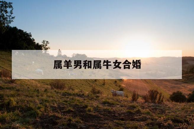 属羊男和属牛女结婚会离婚吗
