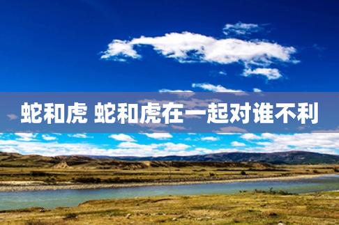 虎和蛇在一起对谁不好