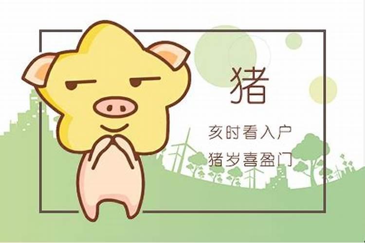 83年属猪男命2023年财运怎么样
