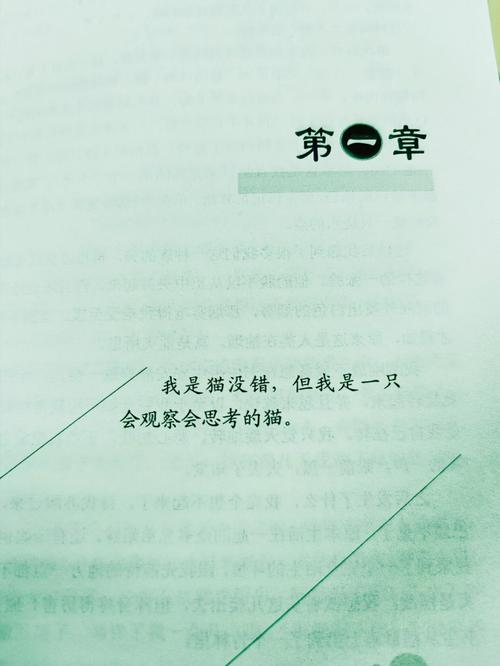 十二星座都会怎样拐着弯教训人?
