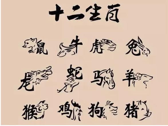 养生之道代表什么生肖