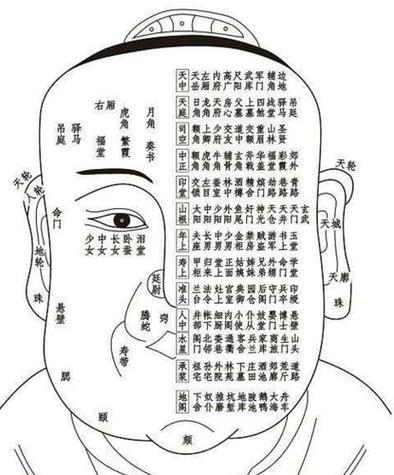 什么是麻衣相术连心眉