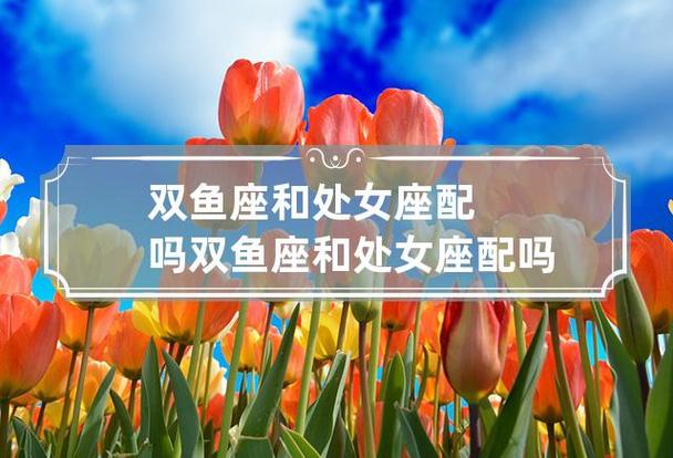 双鱼座与处女座配吗