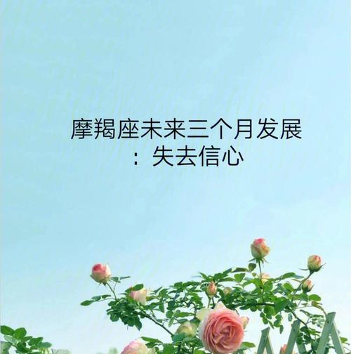 信念能够指引摩羯座不断前行吗