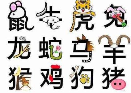 今年26岁属什么生肖的