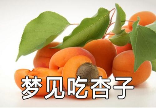 梦见已婚女人梦见吃杏