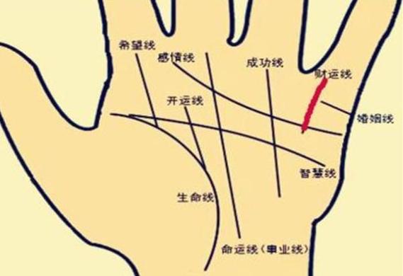能够白手起家的面相