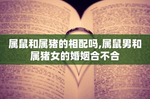 猪跟鼠婚配走向
