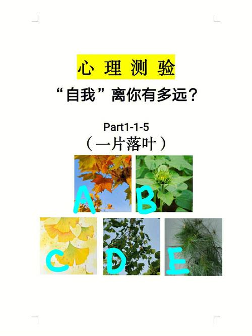 心理测试:选一片银杏叶子,测你这辈子最在乎的是什么?