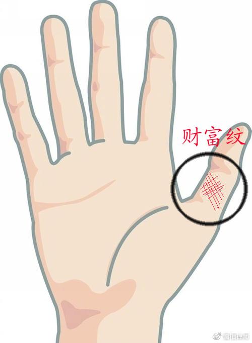 哪几种手相的人一生财运运势极佳