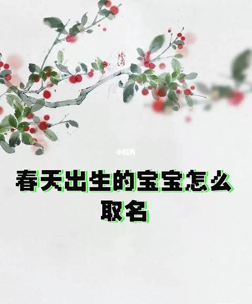 怎么给春天出生的男孩起名