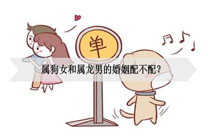 狗男龙女配不配?