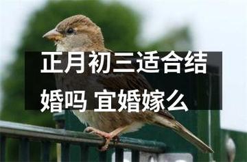 2022年正月初三宜嫁娶吗