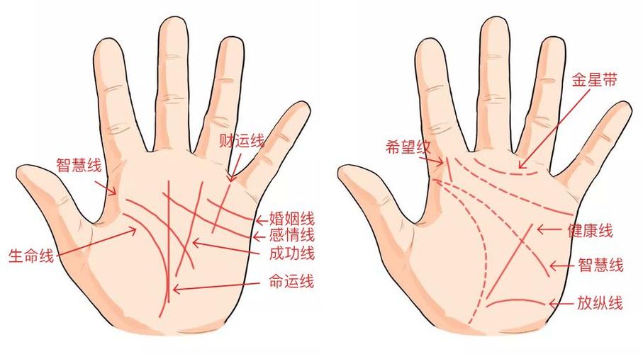 看手相的方式准吗?