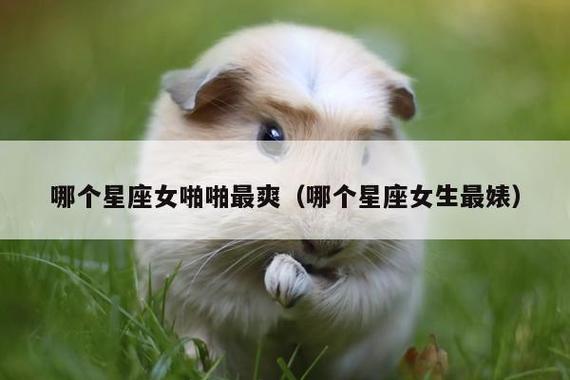 最会传情的星座女