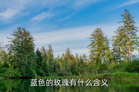 梦见苹果手机