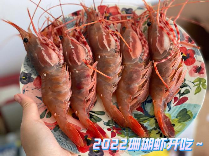 女人梦见活蹦乱跳的虾,女人梦见活蹦乱跳的虾预示什么意思