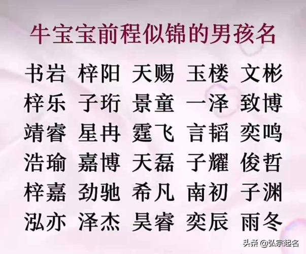 聪明有前程男孩名