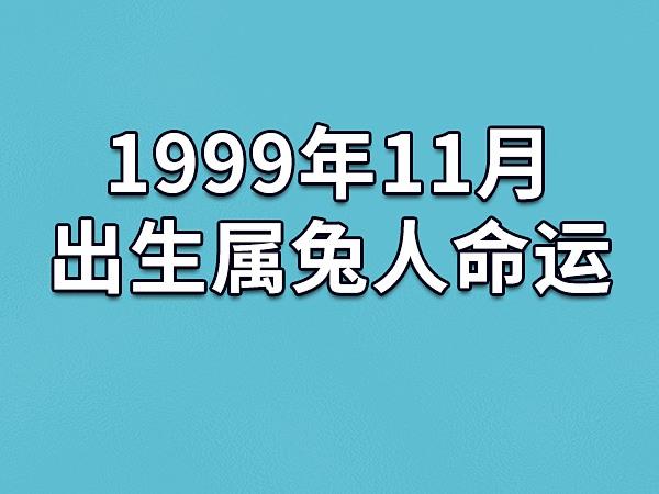 1999年农历十一月出生兔命运