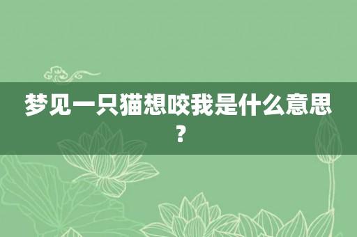 梦见猫咬我有什么寓意?